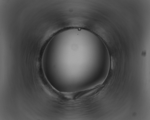 X0000093570252200710221449