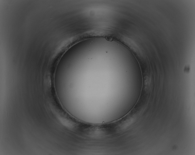 X0000093570254200710221449