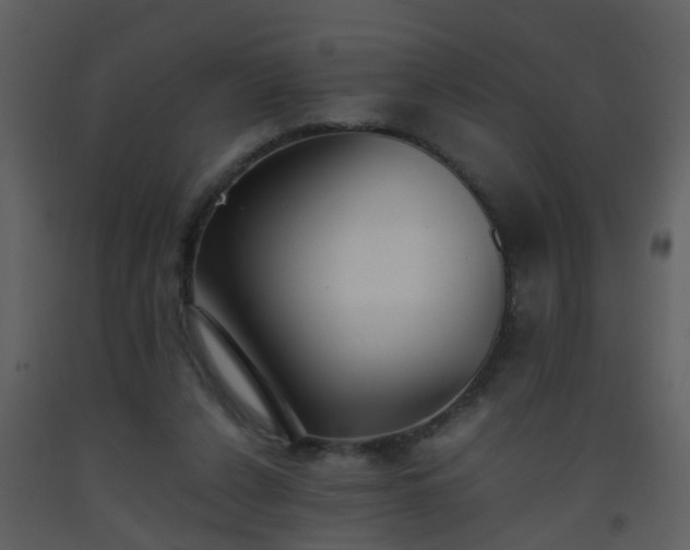 X0000093570256200710221449