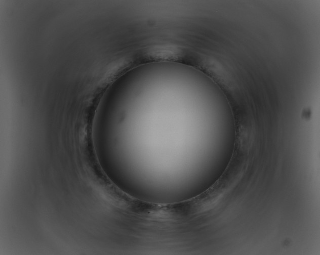 X0000093570259200710221449