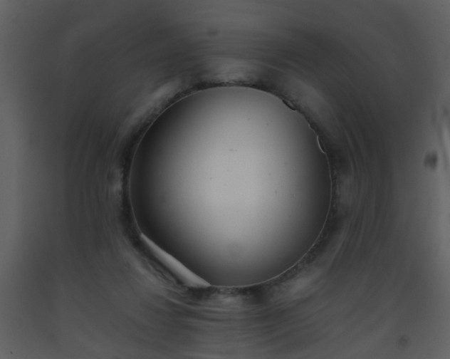 X0000093570260200710221449