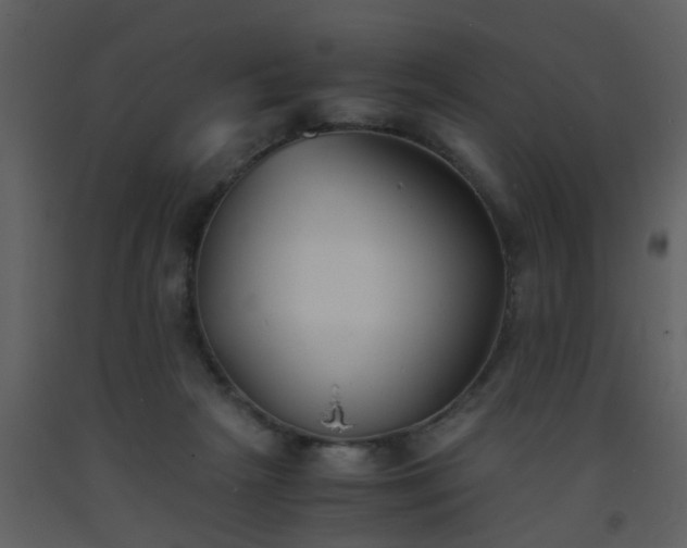 X0000093570265200710221449