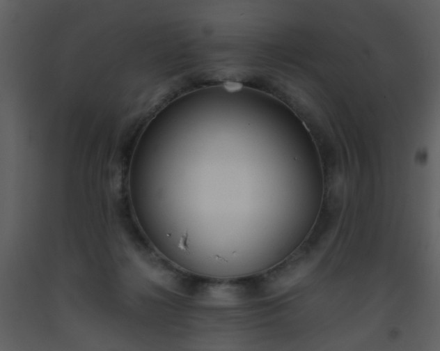 X0000093570268200710221449