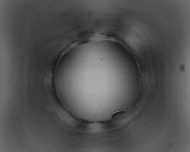 X0000093570269200710221449