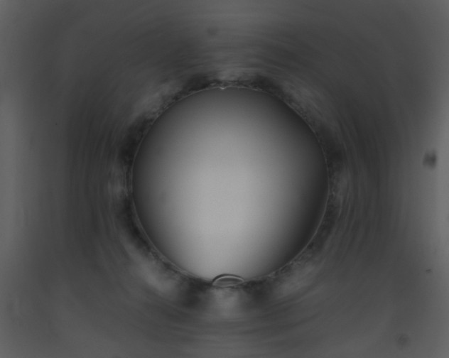 X0000093570272200710221450