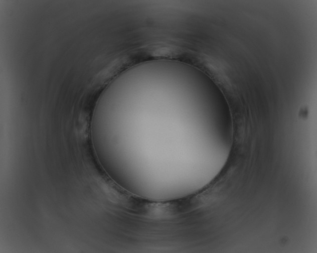 X0000093570273200710221450