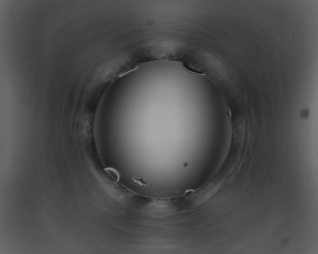X0000093570280200710221450