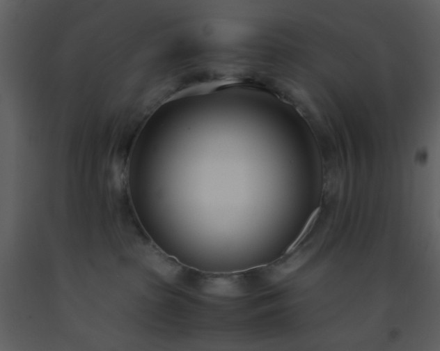 X0000093570285200710221450
