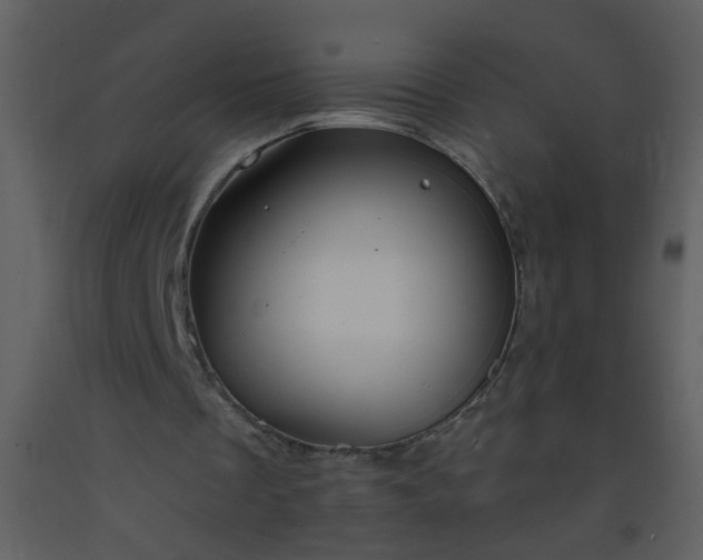 X0000093570289200710221449