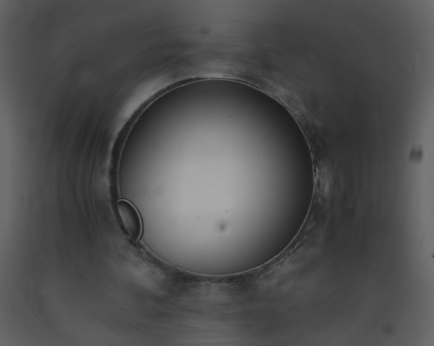 X0000093570292200710221449