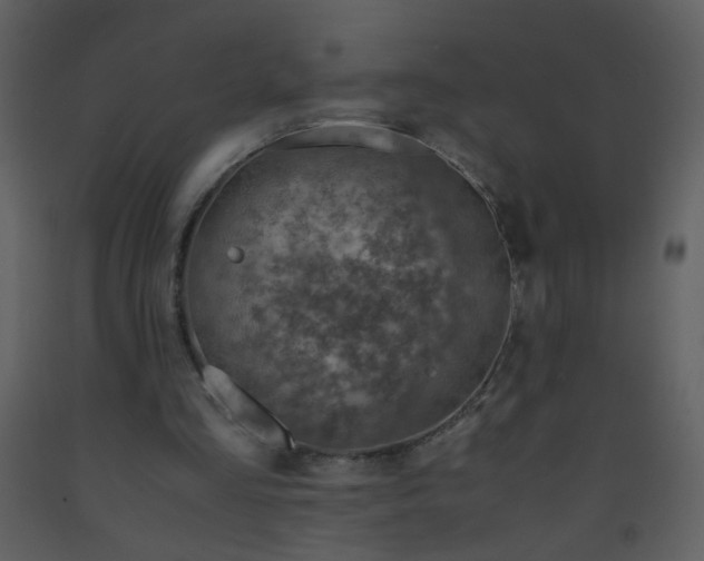 X0000093570293200710221449