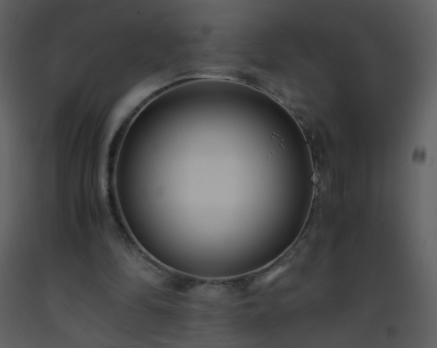 X0000093570294200710221449