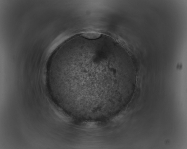 X0000093570295200710221449