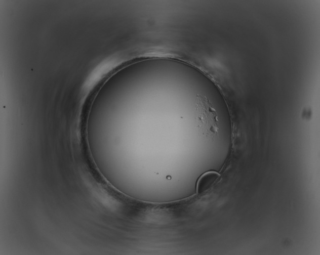 X0000093570296200710221449