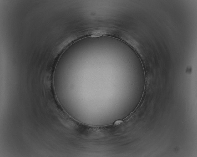 X0000093570297200710221449