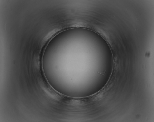 X0000093570298200710221449