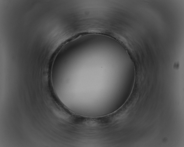 X0000093570299200710221449