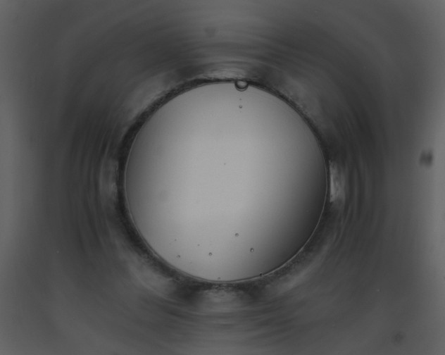 X0000093570300200710221449