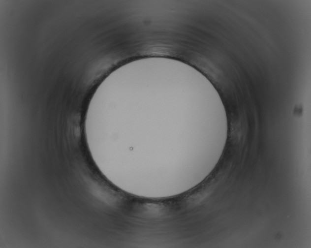 X0000093570302200710221449