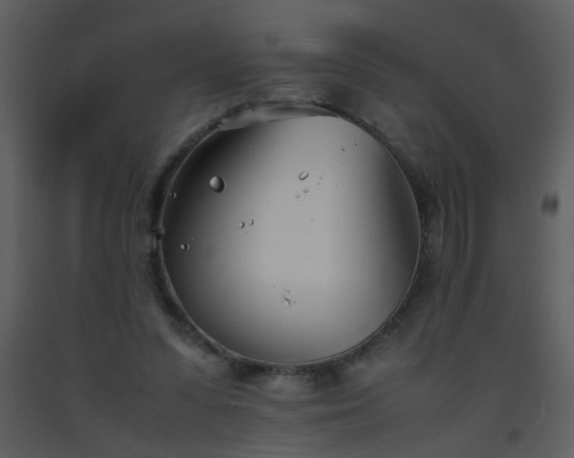 X0000093570303200710221449