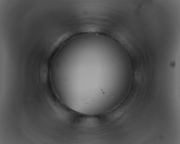 X0000093570304200710221449