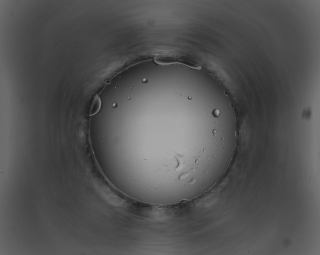 X0000093570305200710221449