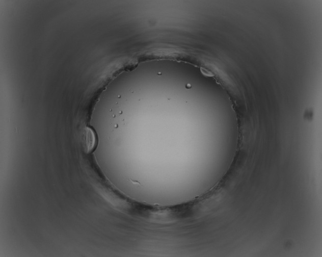 X0000093570309200710221449