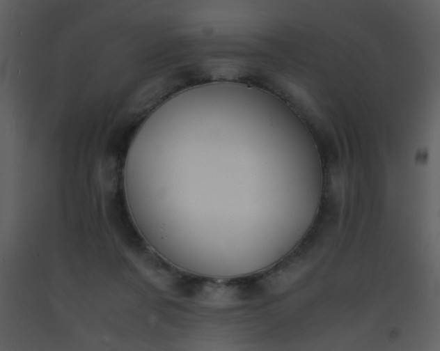 X0000093570311200710221449