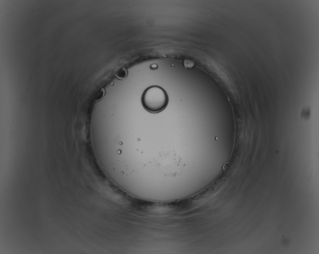 X0000093570313200710221449