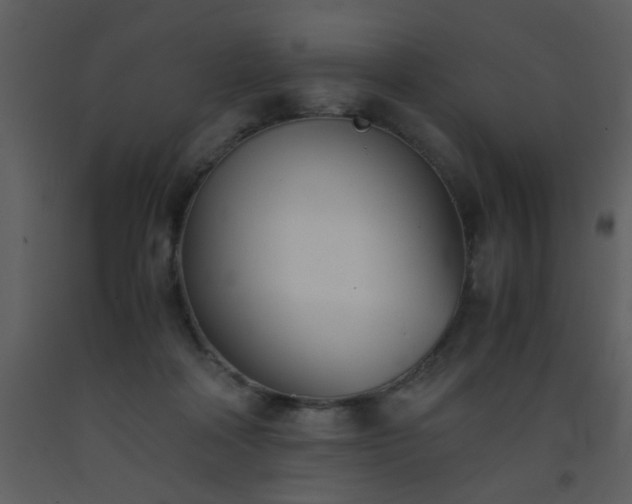 X0000093570314200710221449