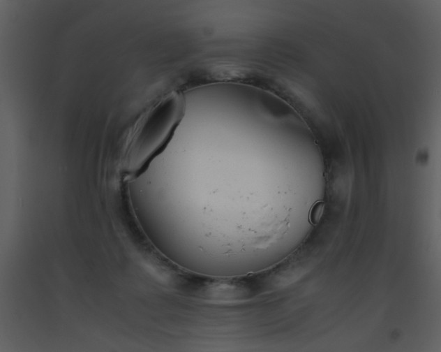 X0000093570315200710221449