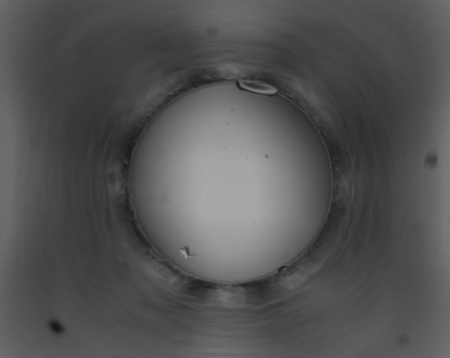 X0000093570317200710221449