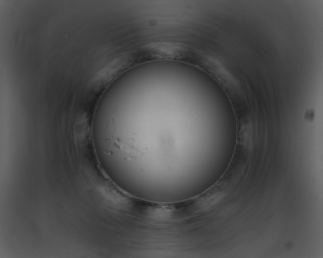 X0000093570318200710221449