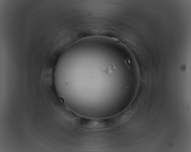 X0000093570319200710221449