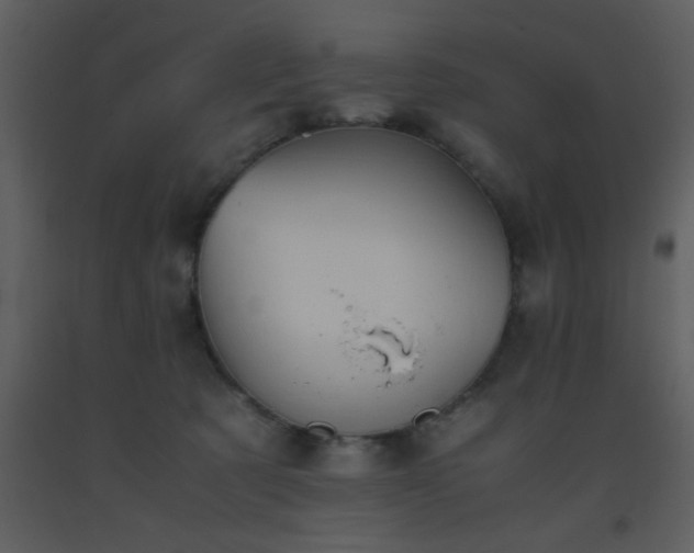 X0000093570321200710221449