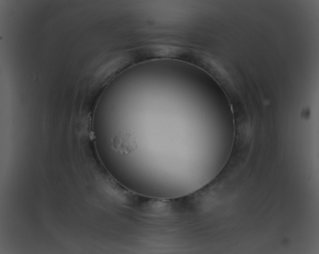 X0000093570325200710221449