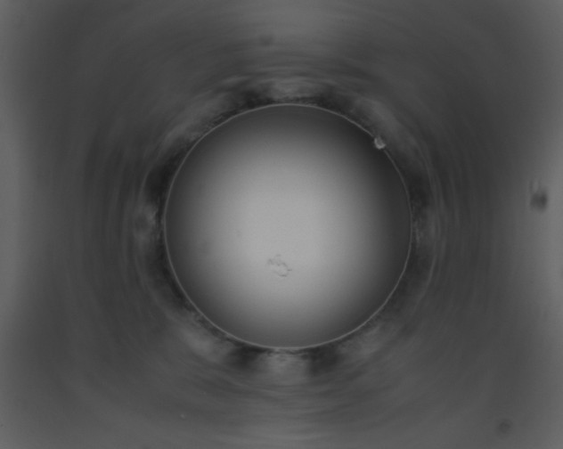X0000093570327200710221449