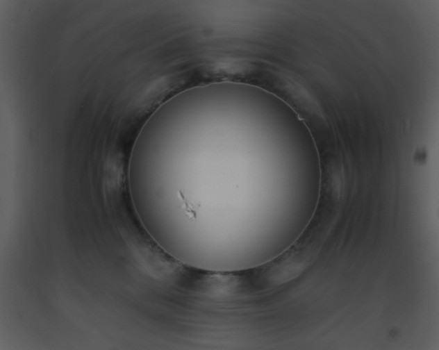 X0000093570328200710221449