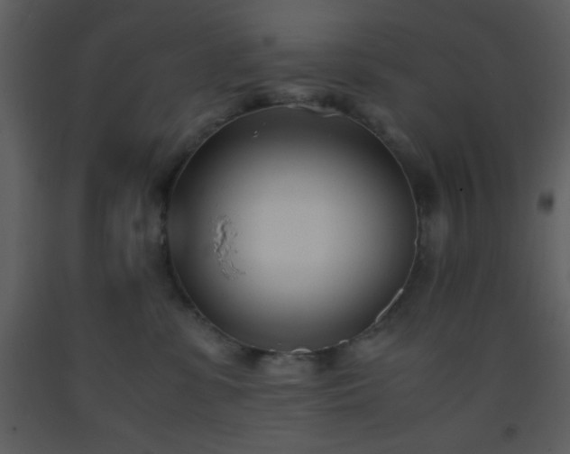 X0000093570331200710221449