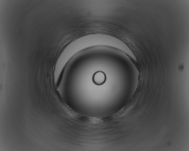 X0000093570333200710221449