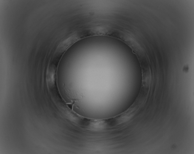 X0000093570334200710221449