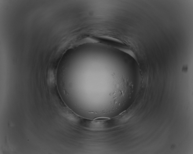 X0000093570335200710221449