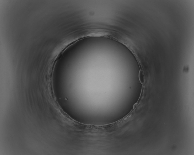 X0000093570337200710221448