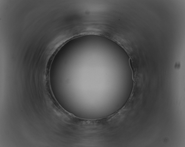 X0000093570338200710221448