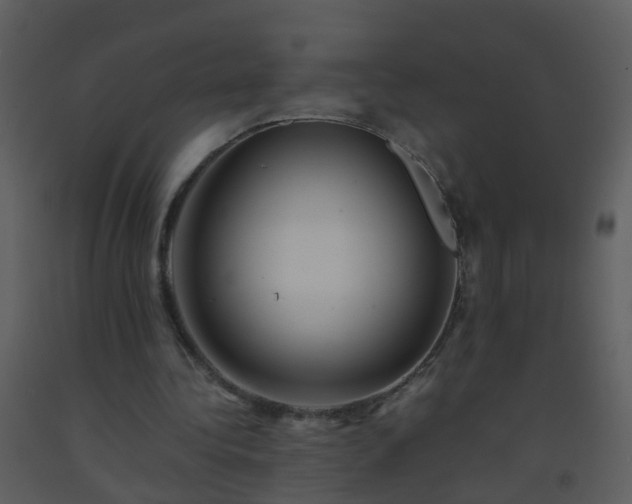 X0000093570340200710221448