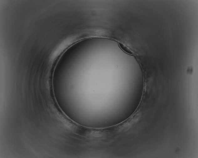 X0000093570341200710221448