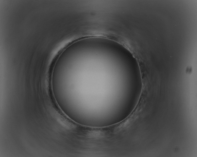 X0000093570342200710221448