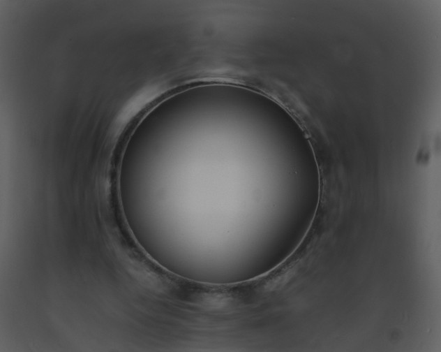 X0000093570344200710221448