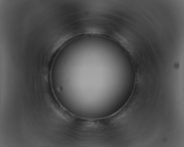 X0000093570347200710221448