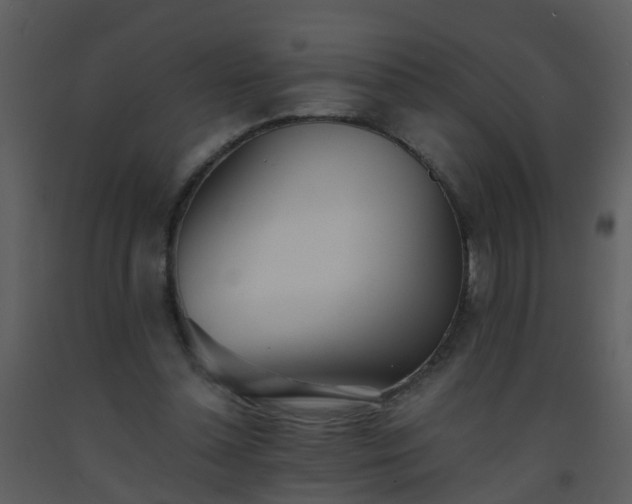 X0000093570348200710221448